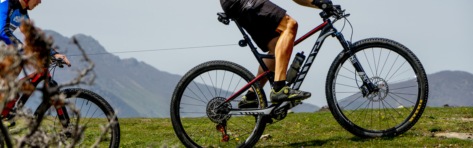 COMPRA TRAX AHORA